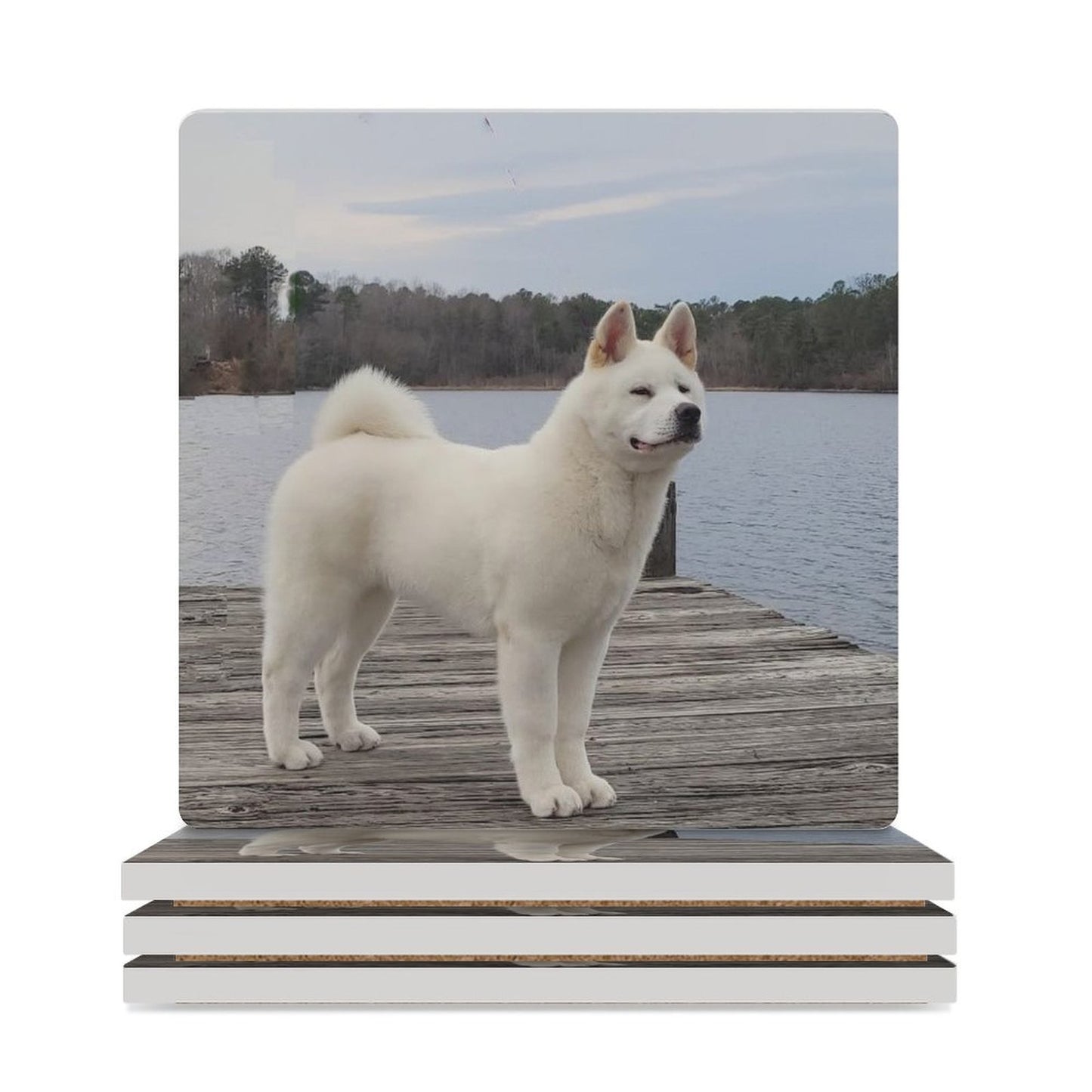 Ceramic Coasters