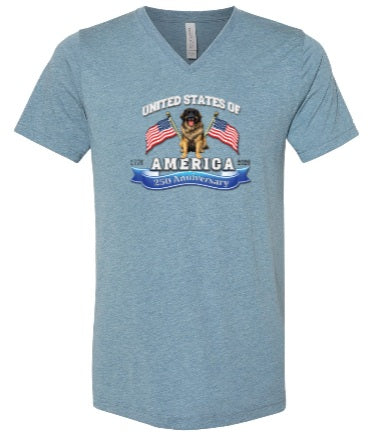America 250 Celebration Uisex Tshirt BC3415V