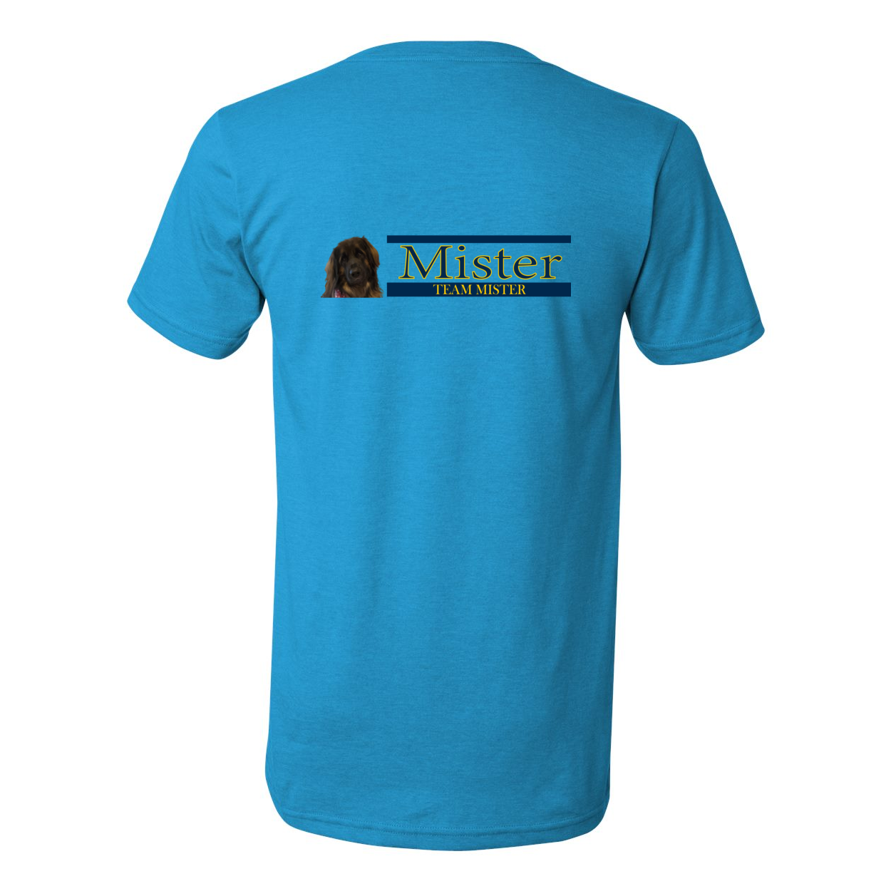 Orlando Shirt1 V-Neck Jersey Tee - WagALotBowWow