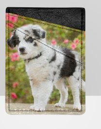 Custom Phone Card Holder - WagALotBowWow