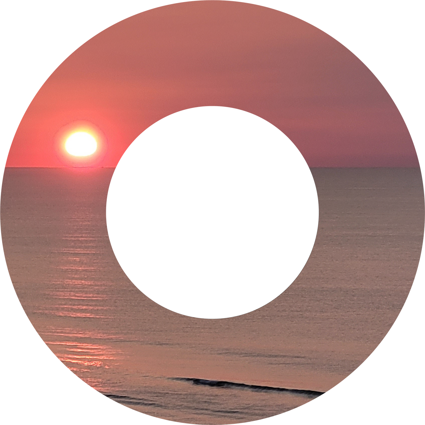 Custom Photo Wind Spinner