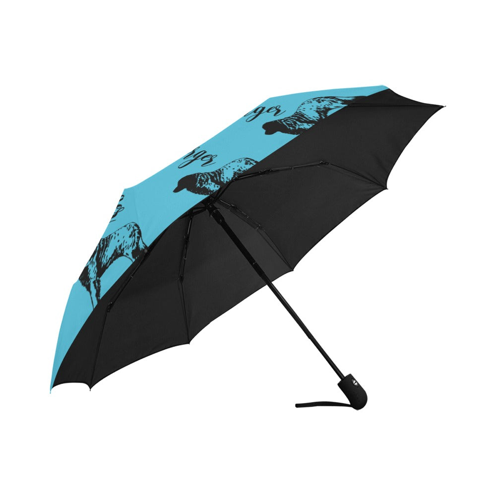 leo_umbrella Anti-UV Auto-Foldable Umbrella (U09)