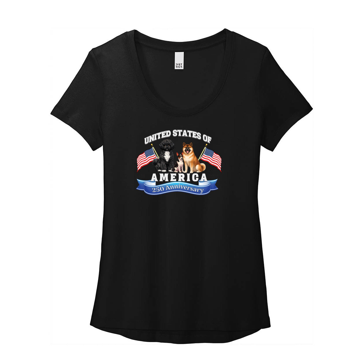 Tina 250 DT7501 District ® Women’s Flex Scoop Neck Tee