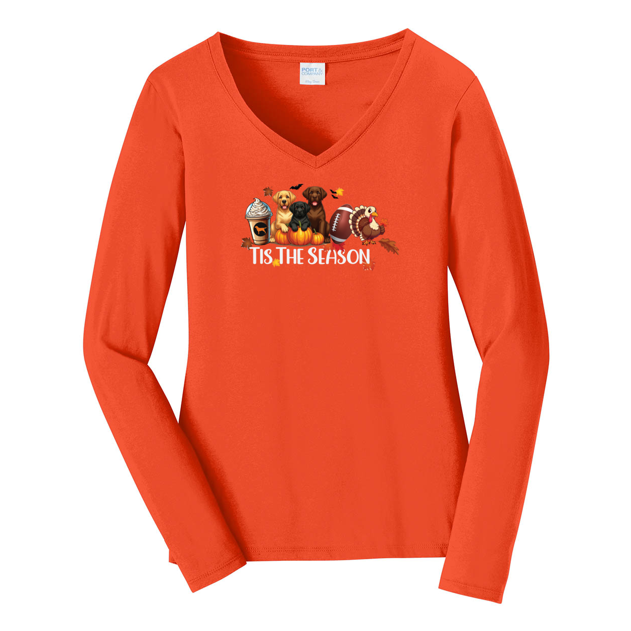 Labrador Tis The Season Turkey Port & Company® Ladies Long Sleeve Fan Favorite™ V-Neck Tee LPC450VLS