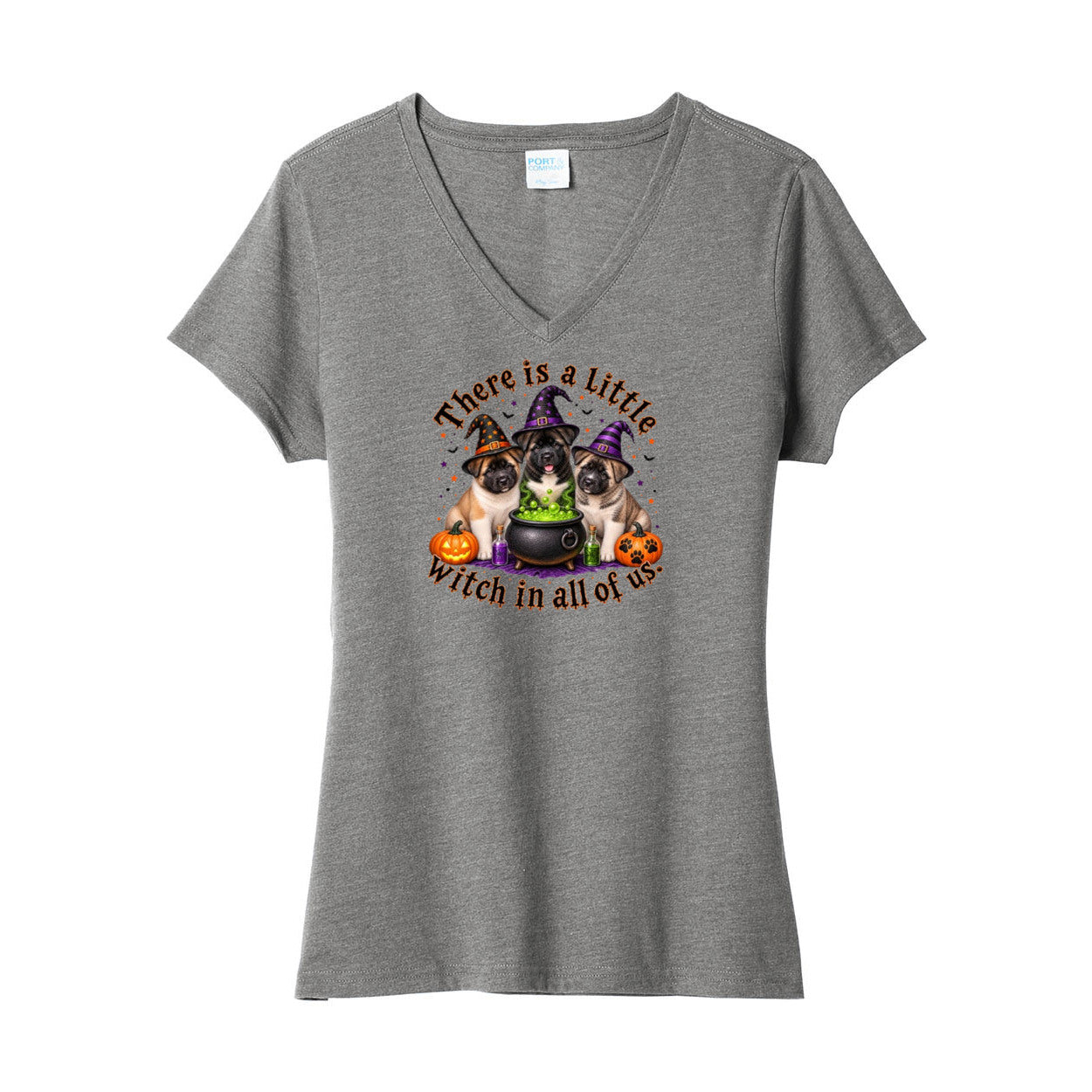 Little Witch in all of us LPC455V Port & Company ® Ladies Fan Favorite ™ Blend V-Neck Tee