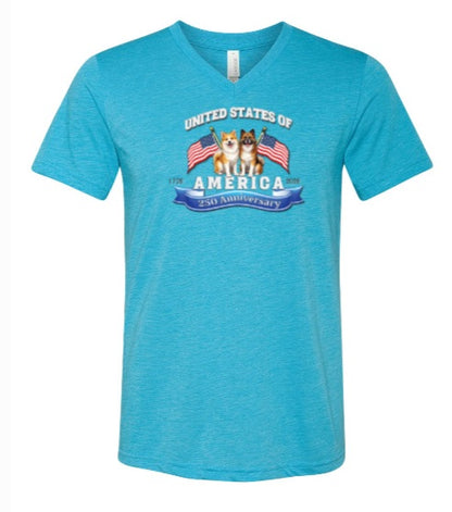 America 250 Celebration Uisex Tshirt BC3415V