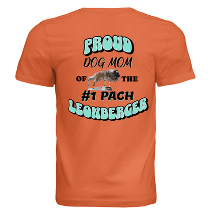Solid Orange Triblend - BACK