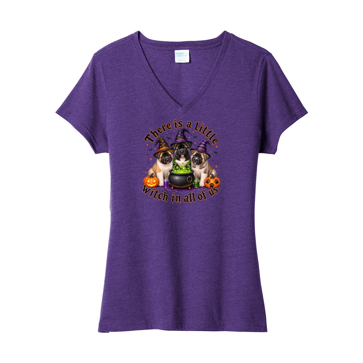 Little Witch in all of us LPC455V Port & Company ® Ladies Fan Favorite ™ Blend V-Neck Tee