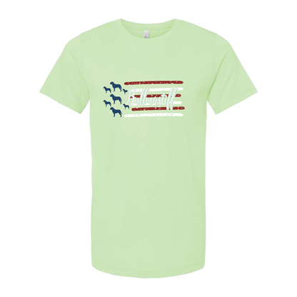 Test Flag Unisex Short Sleeve Jersey Tee