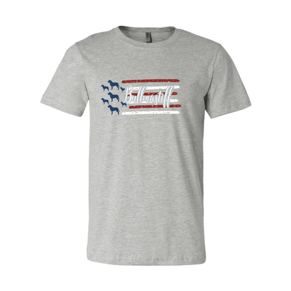 Test Flag Unisex Short Sleeve Jersey Tee