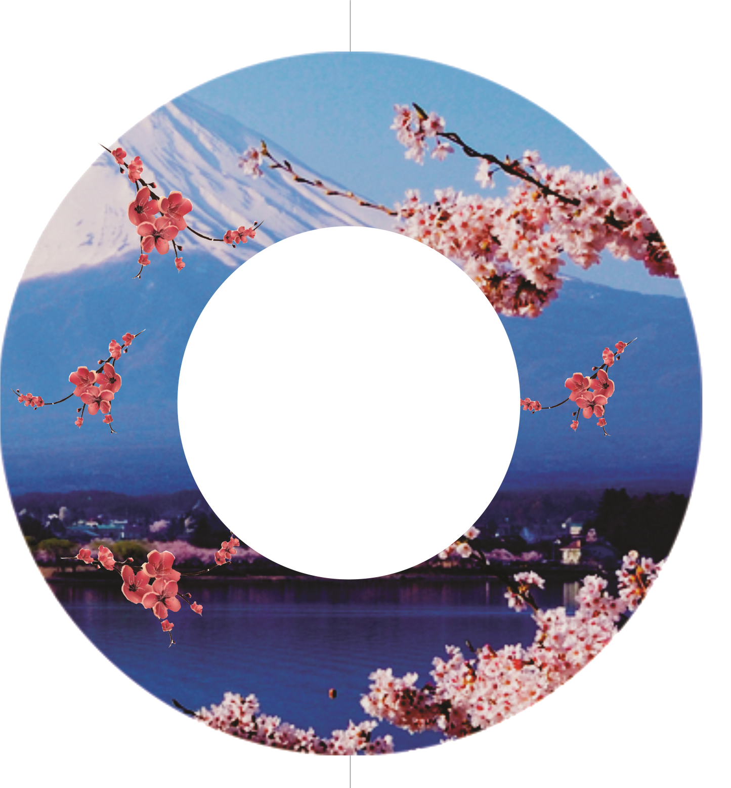 Custom Photo Wind Spinner