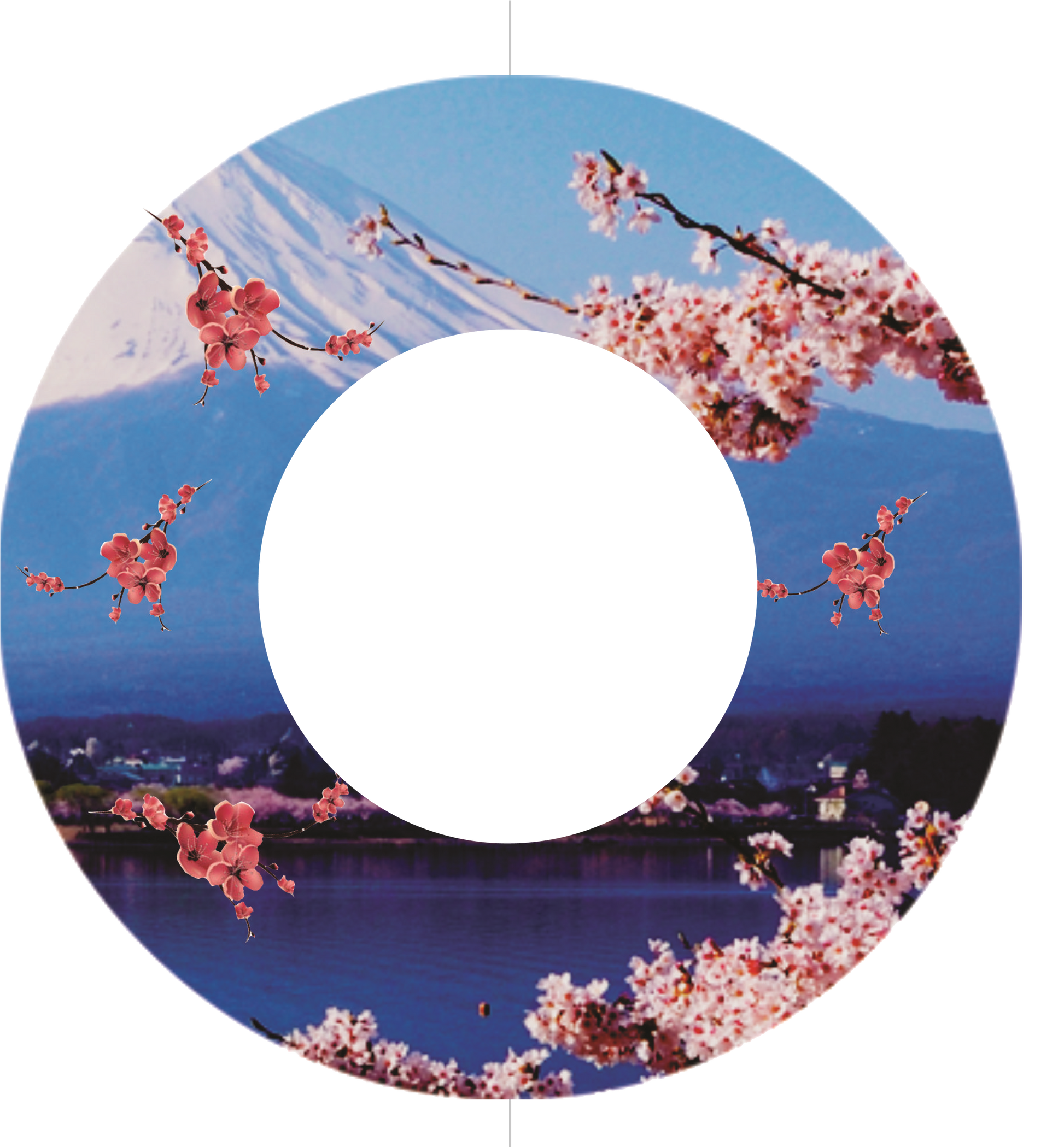 Custom Photo Wind Spinner