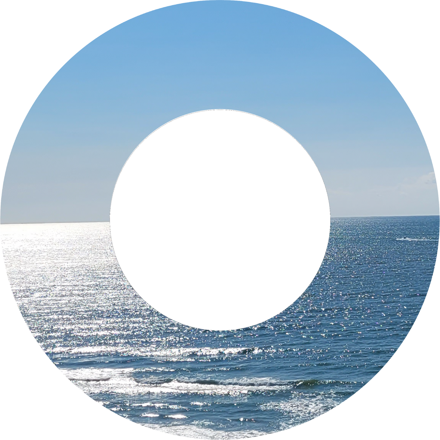 Custom Photo Wind Spinner