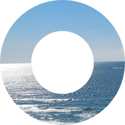 Custom Photo Wind Spinner