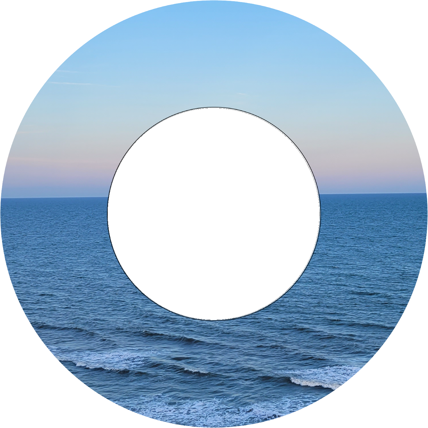 Custom Photo Wind Spinner