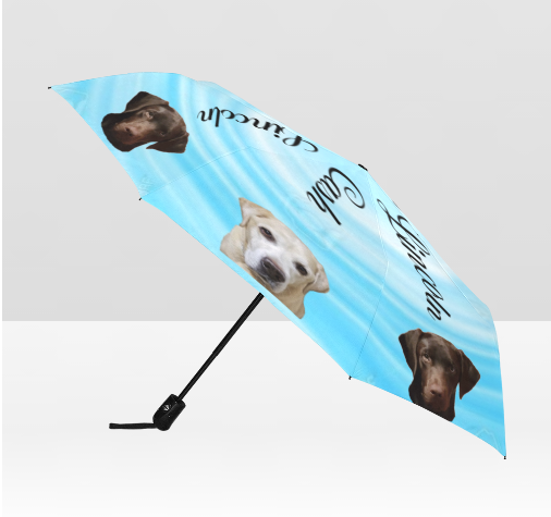 Custom Umbrella