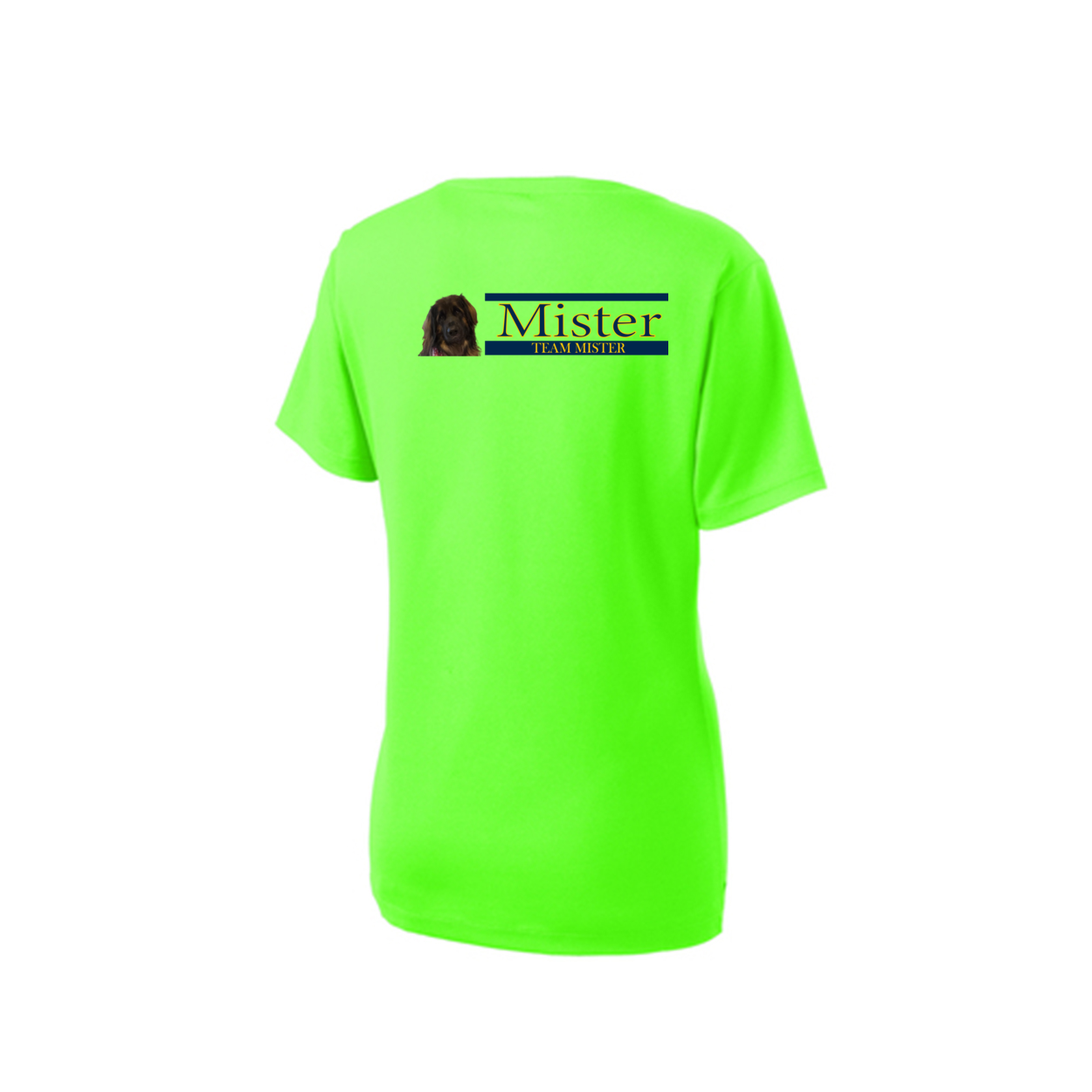 Orlando Shirt2 LST340  Sport-Tek® Ladies V