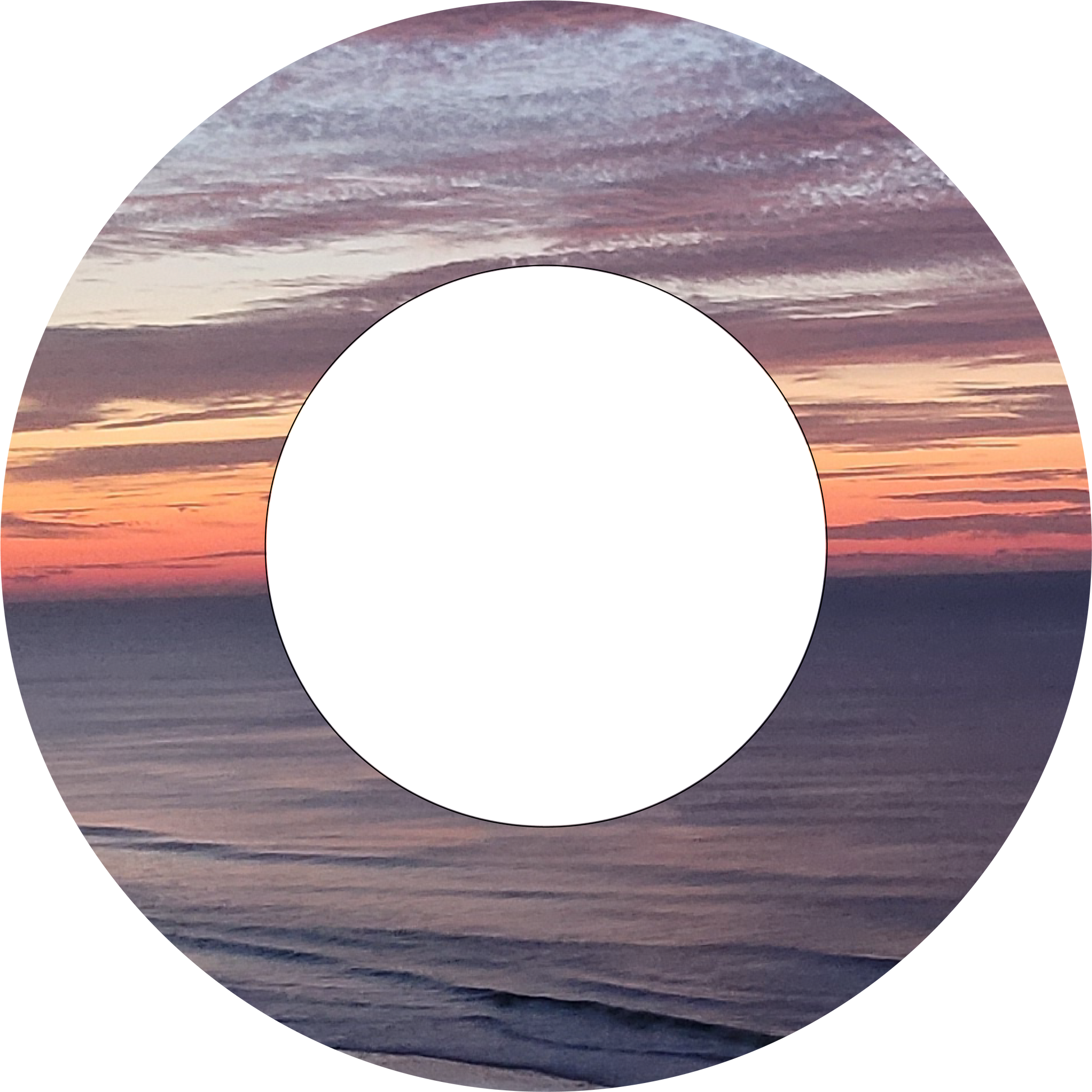 Custom Photo Wind Spinner
