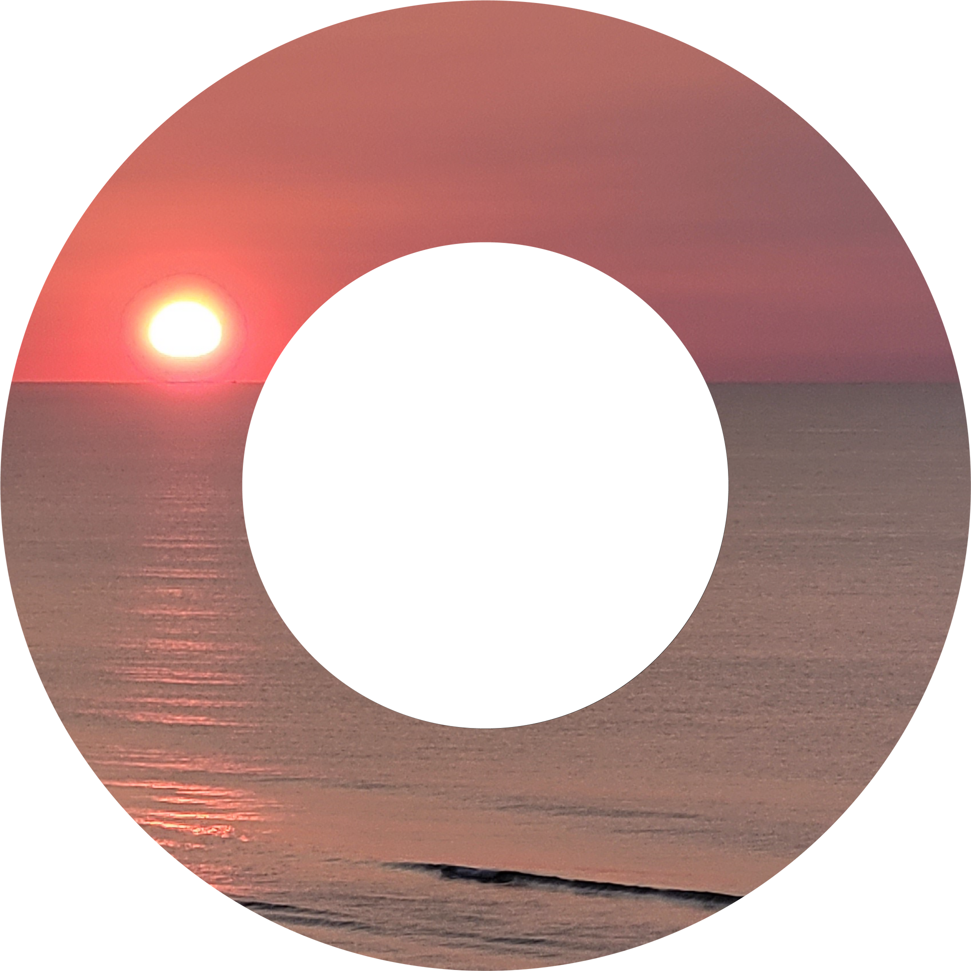 Custom Photo Wind Spinner