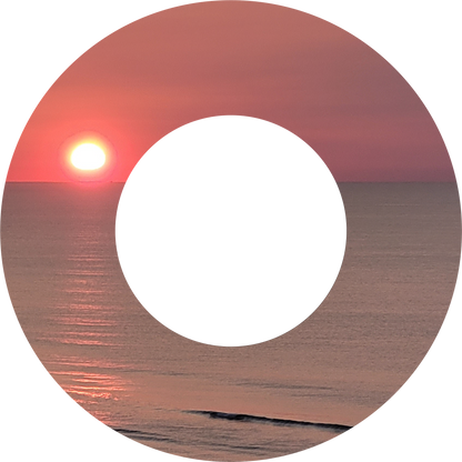 Custom Photo Wind Spinner