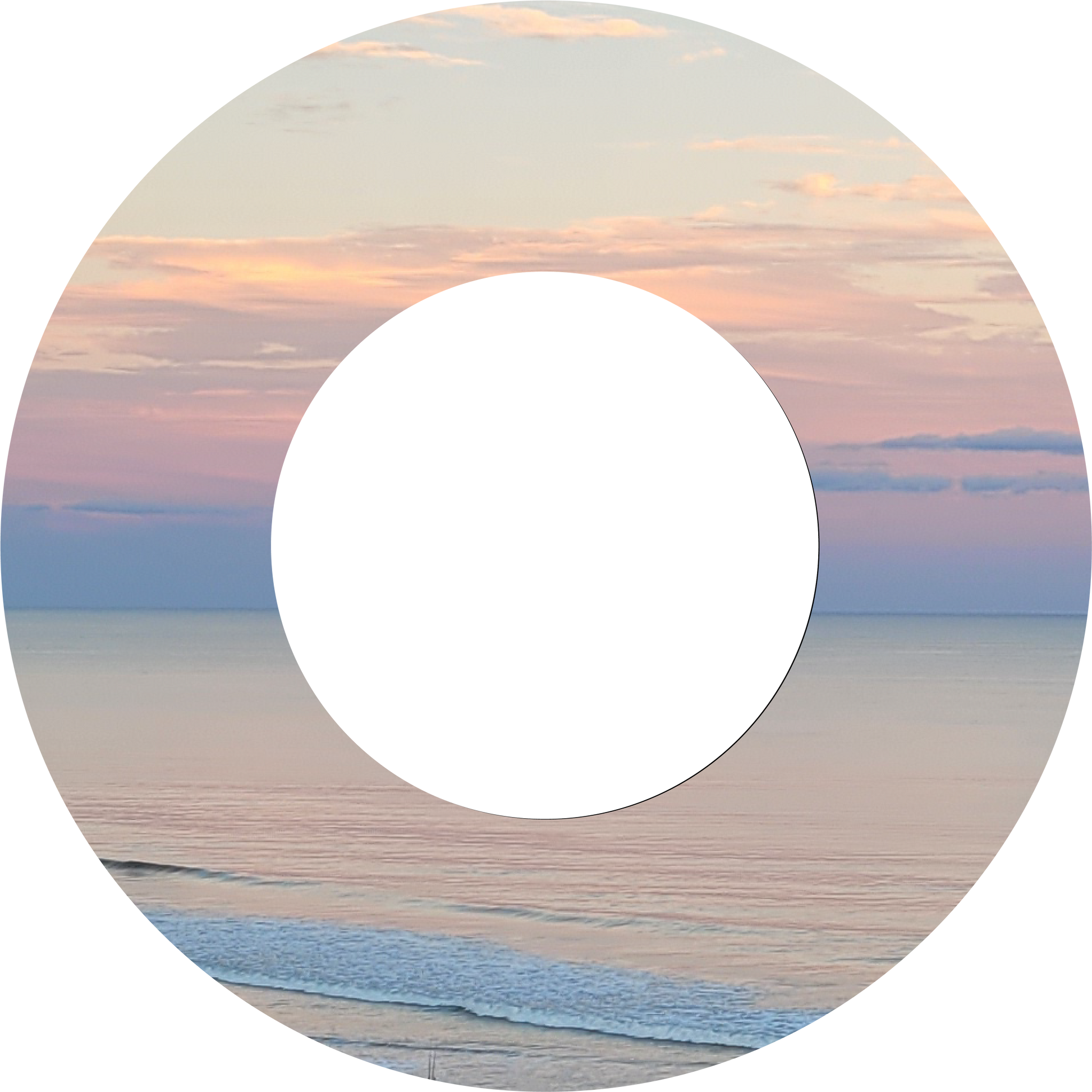 Custom Photo Wind Spinner