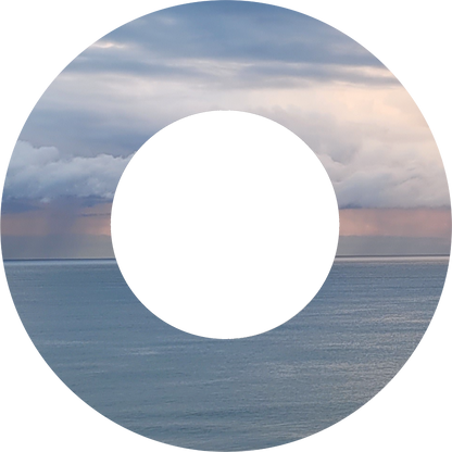 Custom Photo Wind Spinner
